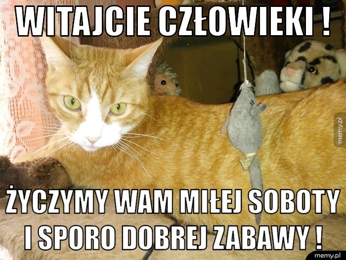 Witajcie człowieki ! Życzymy wam miłej soboty i sporo dobrej zabawy ! 