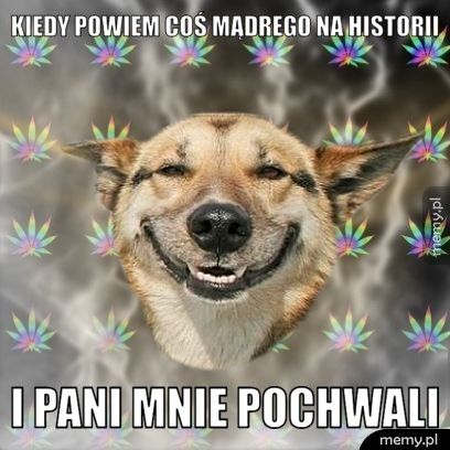 Kiedy powiem coś mądrego na historii  I pani mnie pochwali