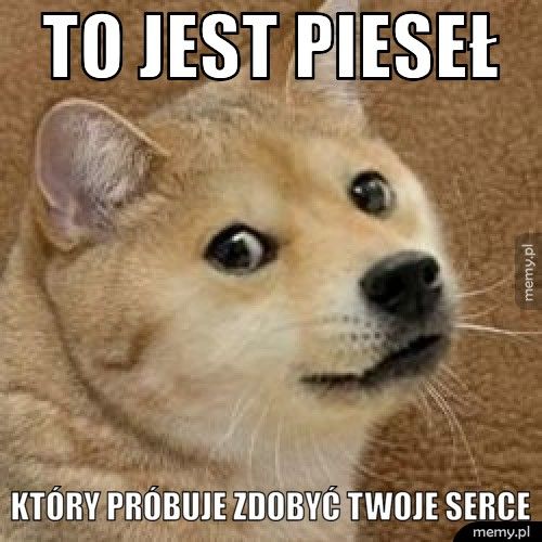 to jest pieseł który próbuje zdobyć twoje serce