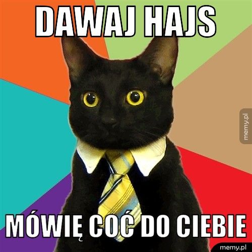 dawaj hajs mówię coć do ciebie