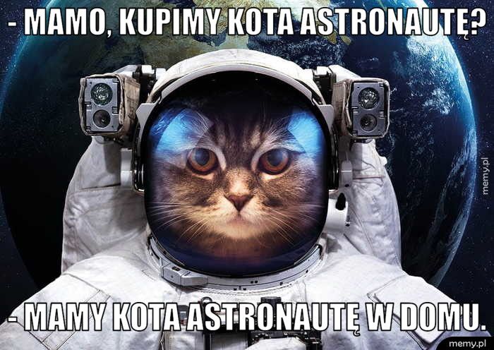 - Mamo, kupimy kota astronautę? - Mamy kota astronautę w domu.