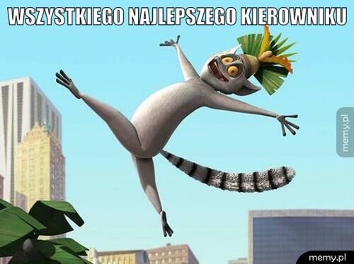 Wszystkiego Najlepszego Kierowniku 