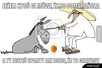 Jeżeli ktoś ci mówi, że to pomarańcza a ty jesteś uparty jak osioł, że to grejfrut