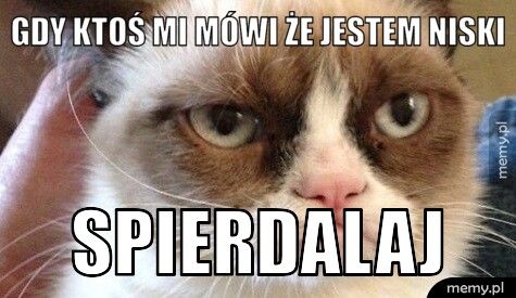 gdy ktoś mi mówi że jestem niski spierdalaj