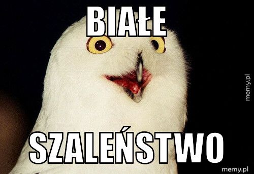 Białe szaleństwo