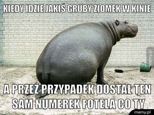 kiedy idzie jakiś gruby ziomek w kinie  a przez przypadek dostał ten sam numerek fotela co ty