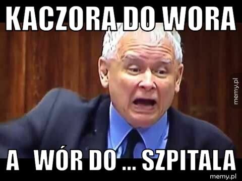 Kaczora do wora a   wór do ... szpitala