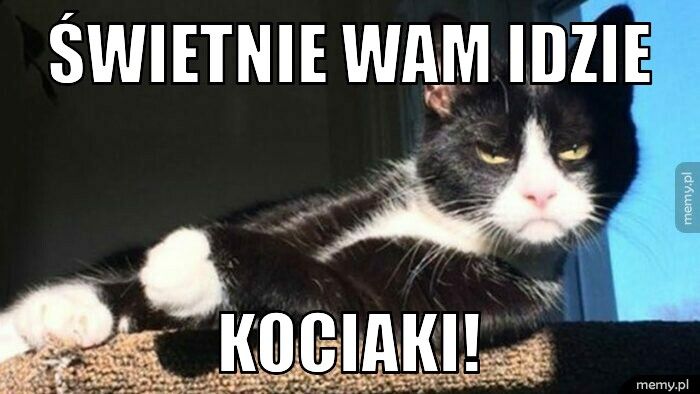 Świetnie Wam idzie Kociaki! 
