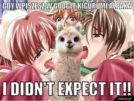 Gdy wpiszesz w google kigurumi alpaka  I didn't expect it!!