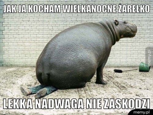 Jak ja kocham wielkanocne żarełko  lekka nadwaga nie zaskodzi