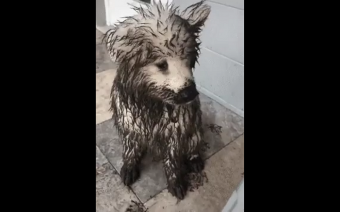 Jaki ojciec taki syn