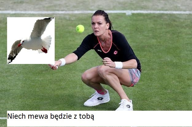 Mewa i Agnieszka Radwańska