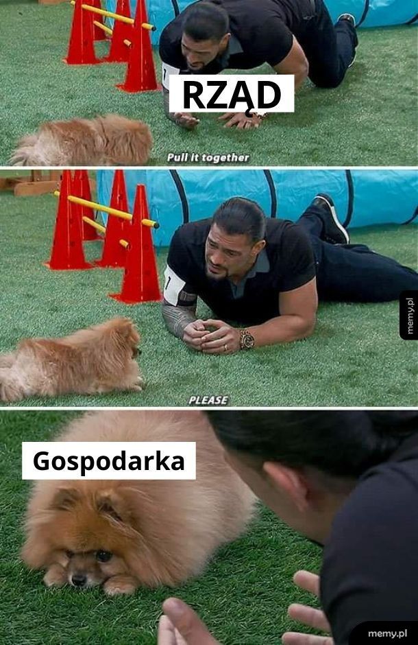 Gospodarka