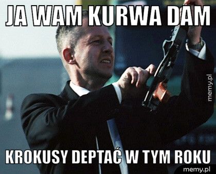 Ja wam kurwa dam Krokusy deptać w tym roku