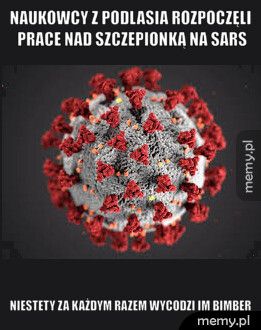 naukowcy z Podlasia rozpoczęli prace nad szczepionką na sars niestety za każdym razem wycodzi im bimber