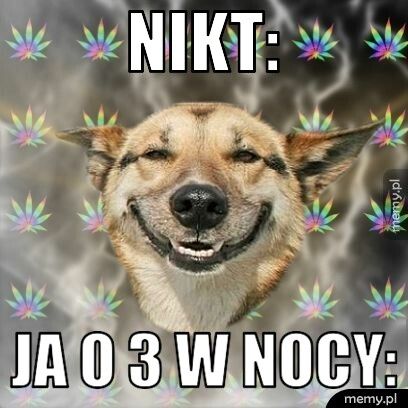 Nikt:        Ja o 3 w nocy: