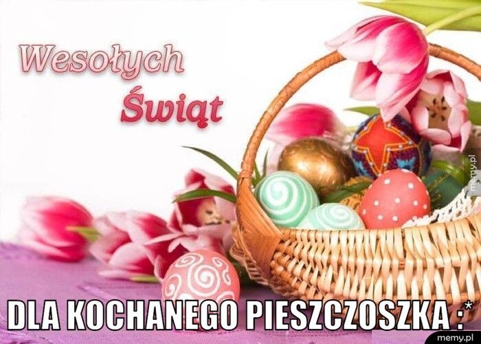  dla kochanego pieszczoszka :*