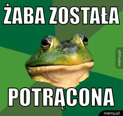 żaba została potrącona