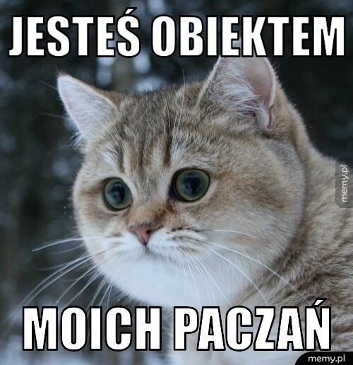 jesteś obiektem moich paczań
