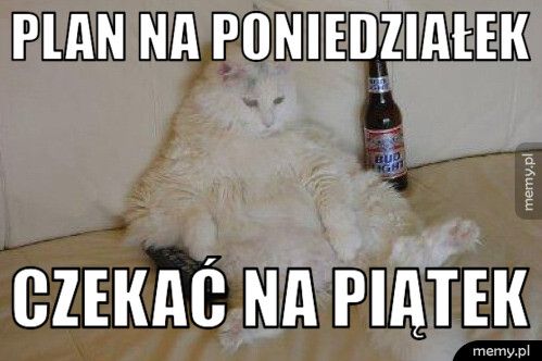 plan na poniedziałek czekać na piątek