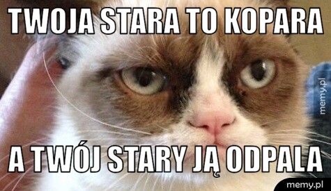 Twoja stara to kopara A twój stary ją odpala