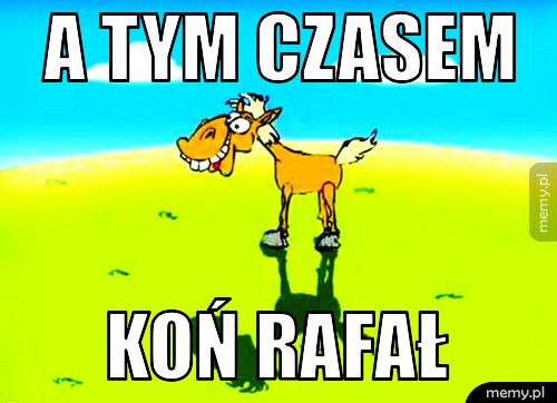 a tym czasem koń rafał