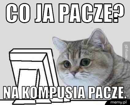 Co ja pacze? Na kompusia pacze.