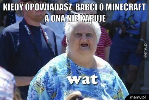 Kiedy opowiadasz  babci o Minecraft a ona nie kapuje 
