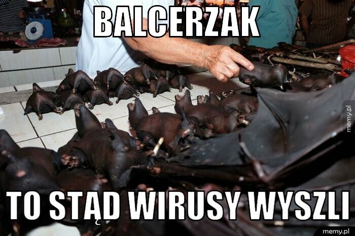 balcerzak to stąd wirusy wyszli