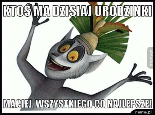 Ktoś ma dzisiaj urodzinki ???? Maciej, wszystkiego co najlepsze!