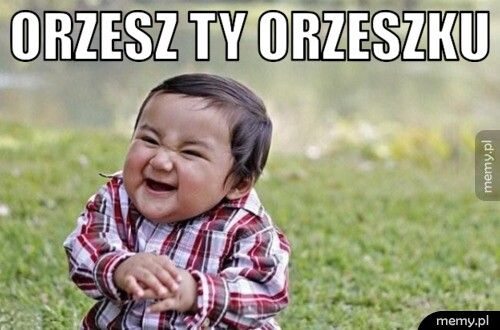 Orzesz ty orzeszku