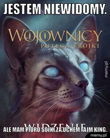 Jestem niewidomy. Ale mam pióro sójki za uchem . Ajm king.