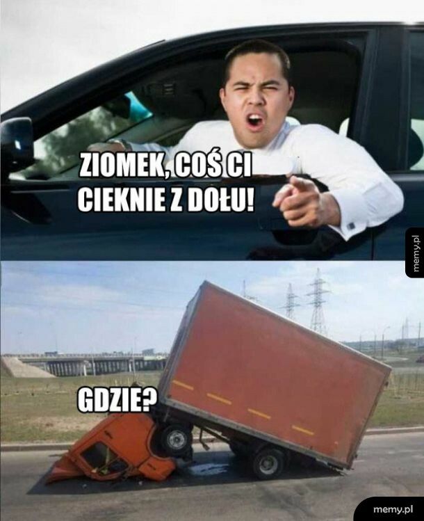 Ziomek