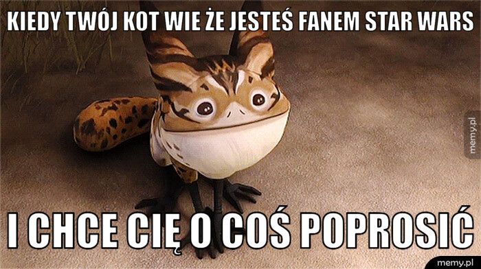 Kiedy twój kot wie że jesteś fanem star wars I chce cię o coś poprosić