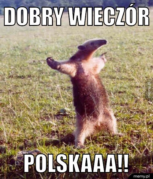 Dobry wieczór  Polskaaa!!
