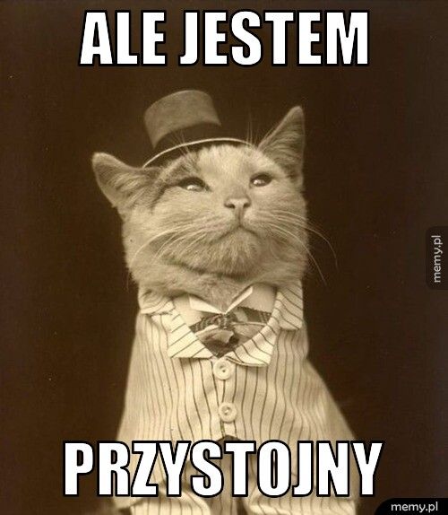 ale jestem przystojny