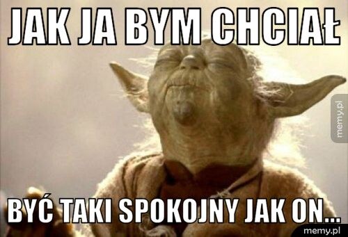 Jak ja bym chciał być taki spokojny jak on...