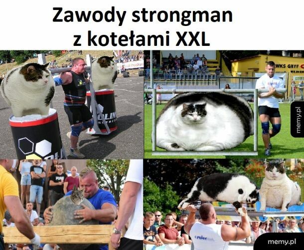 Zawody strongman z kotełami XXL