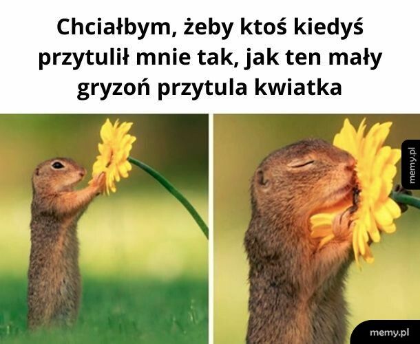 Chciałbym być tym kwiatkiem