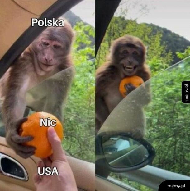 Polska i USA