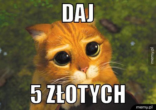 daj  5 złotych