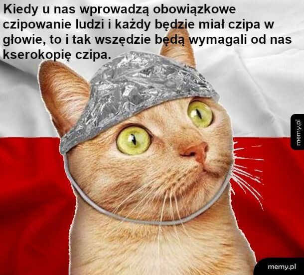 Biurokracja w polskiej placówce, brawo