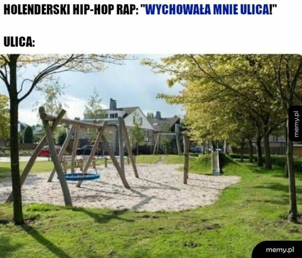 Holenderski rap