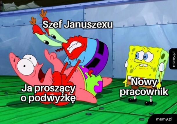 Januszex