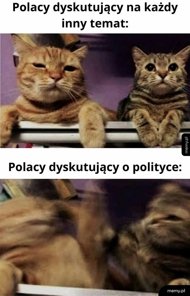 Polityka