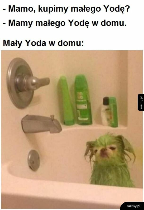 Mały, smutny Yoda