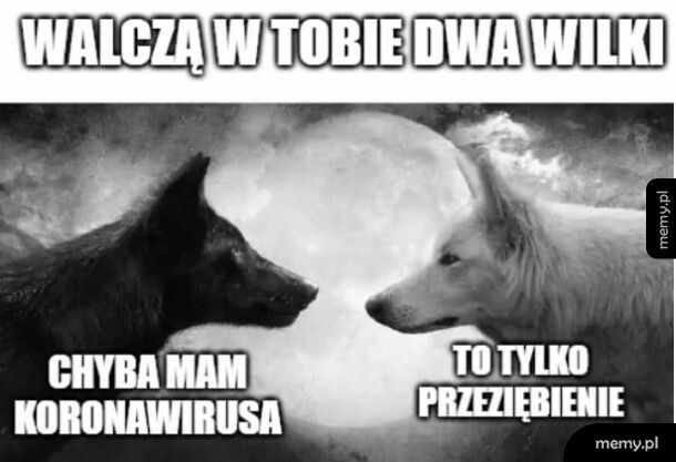 Walka dwóch wilków