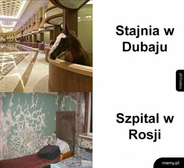 Dubaj vs Rosja