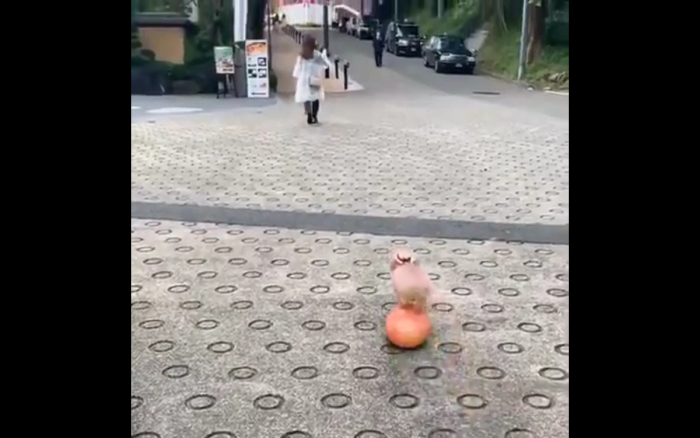 Wow!!!!!!