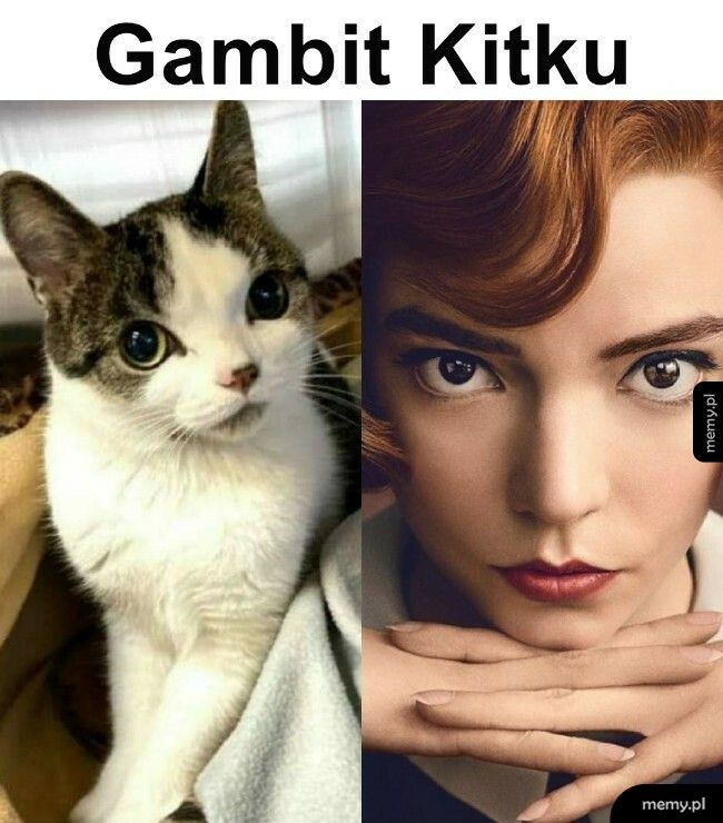 Gambit Kitku